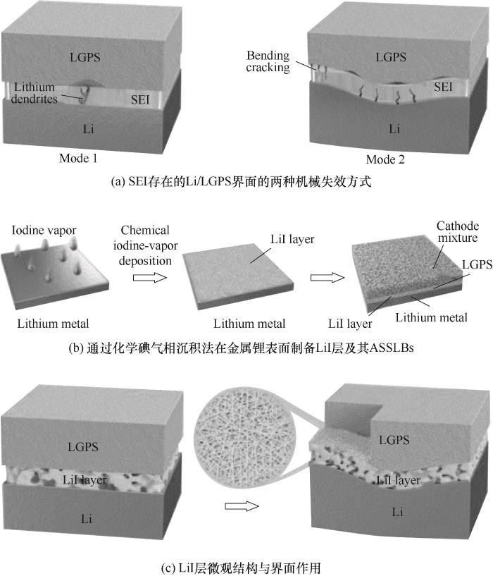 Fig3 Schematic diagram of interface between LGPS and Li anode