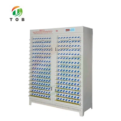 Pouch Cell Battery Capasiti Tester